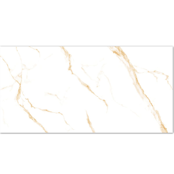Titanium Statuario Gold Matte 120x240